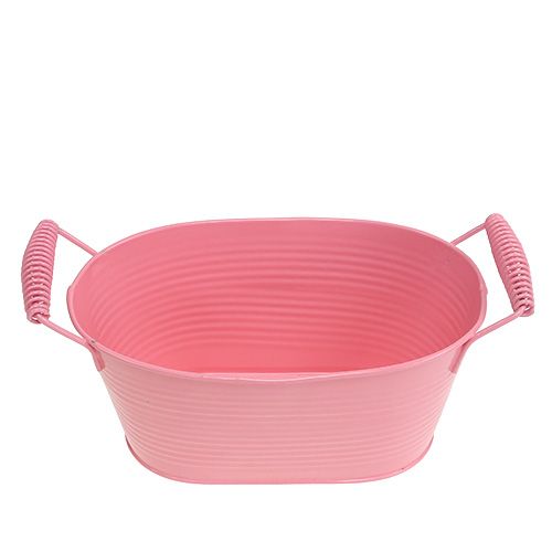 Floristik24 Pladeskål oval laks 20cm x 12cm H9cm