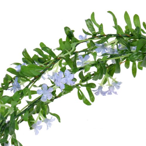 Floristik24 Blomsterland glem-mig-ikke 270 cm