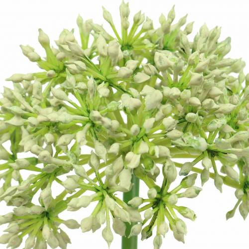 Artikel Allium kunstig hvid 55cm