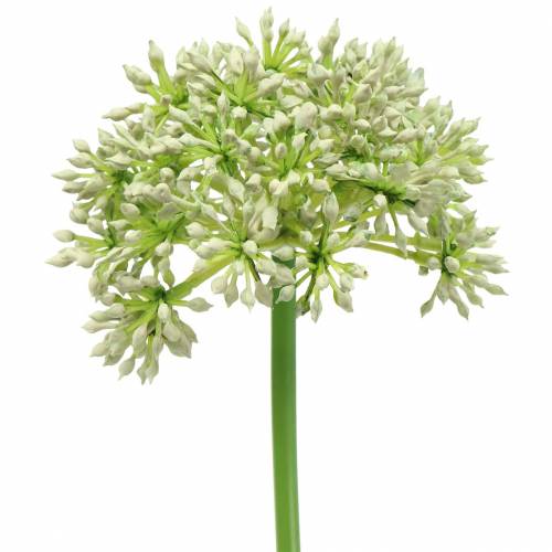 Allium kunstig hvid 55cm