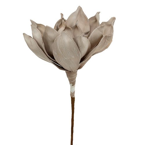 Floristik24 Blomstergren skumgrå 65 cm