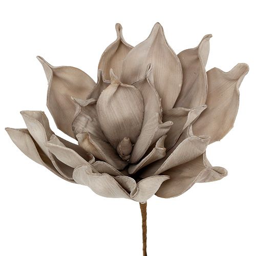 Floristik24 Blomstergren skumgrå 65 cm