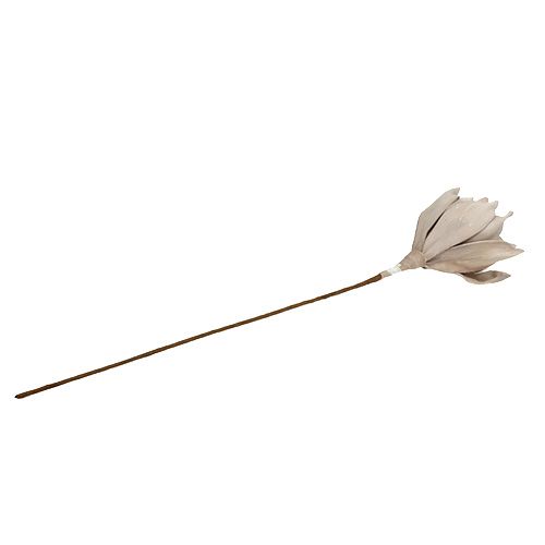 Floristik24 Blomstergren skumgrå 65 cm