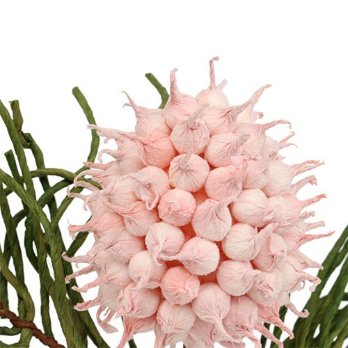 Artikel Blossom branch Foam Pink/Grøn 65cm