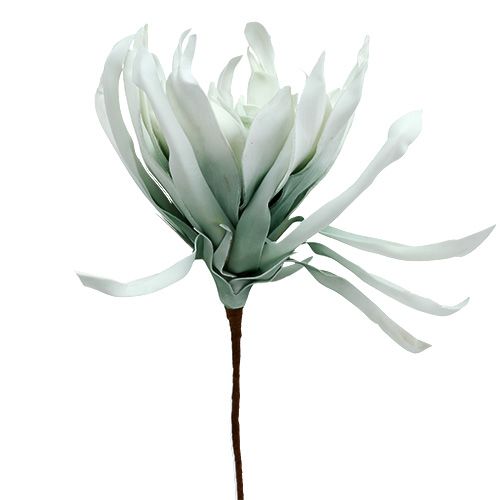 Floristik24 Blomstrende gren skum hvid, grøn 72cm
