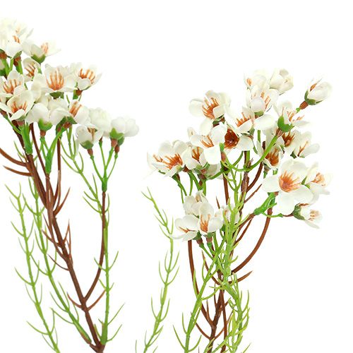 Artikel Blomstergren grøn, hvid 80 cm 3stk