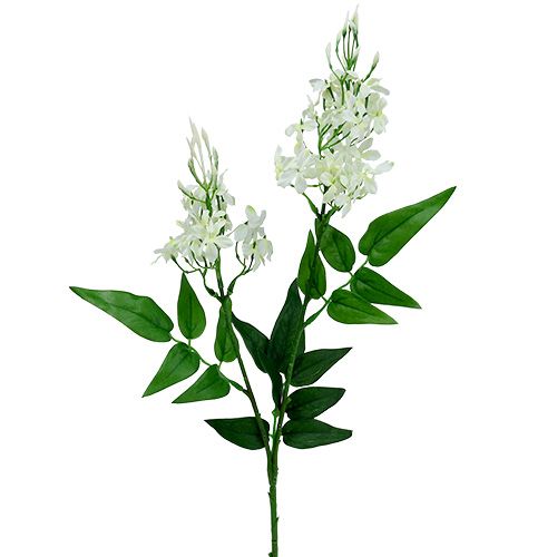 Blomstergren hvid 78cm 3stk