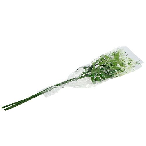 Artikel Blomstergren hvid 78cm 3stk