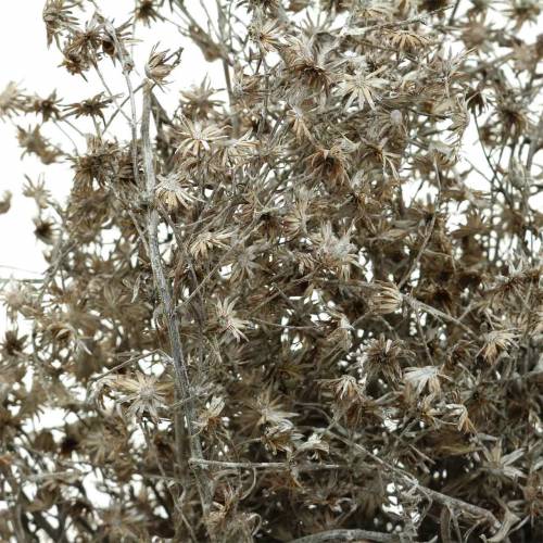 Artikel Tør florist vilde blomstergren vasket hvid 60cm 100g