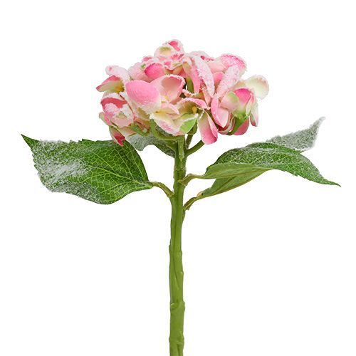 Floristik24 Hortensia pink sneet 33cm 4stk