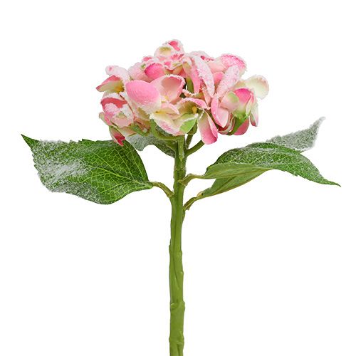 Floristik24 Hortensia pink med sne 33cm 4 stk