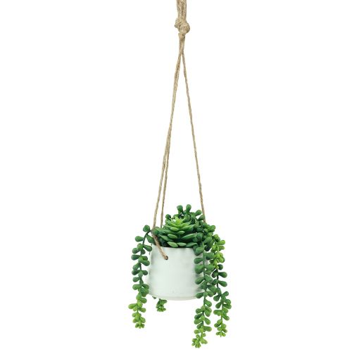 Artikel Hængekurve sukkulenter kunstgrøn assorteret 18cm 3stk