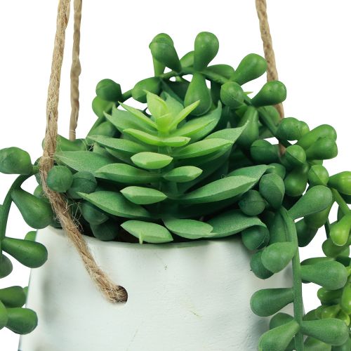 Artikel Hængekurve sukkulenter kunstgrøn assorteret 18cm 3stk