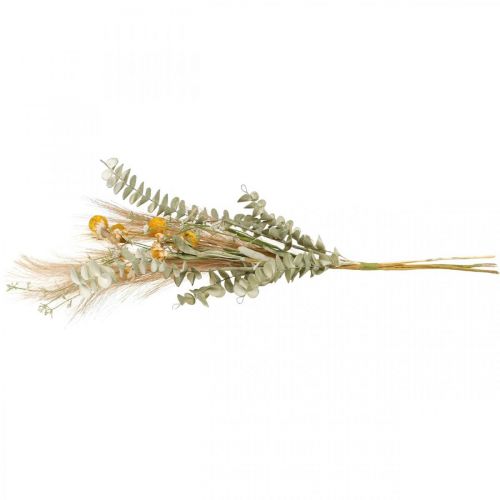 Artikel Kunstige blomster Craspedia fjer græs eukalyptus 55cm bundt