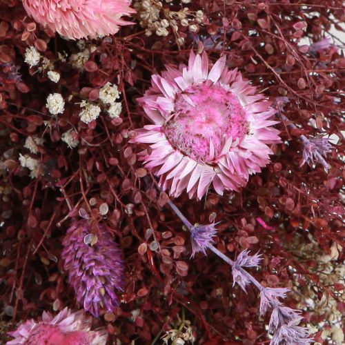 Floristik24 Blomsterkrans tørrede blomster krans vinrød pink Ø25cm