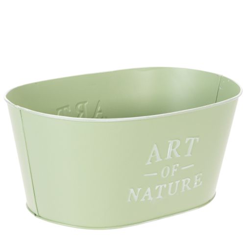 Blomsterskål oval zink mintgrøn 27×18 cm H12,5 cm | Floristik24.dk