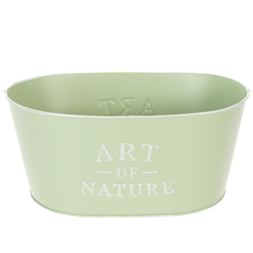 Blomsterskål oval zink mintgrøn 27×18 cm H12,5 cm købe | Floristik24.dk