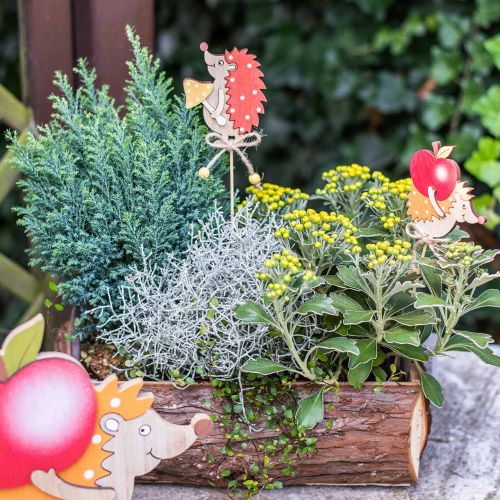 Floristik24 Blomsterpindsvin, trædekoration, efterårsfigur H9,5cm L32cm 12stk
