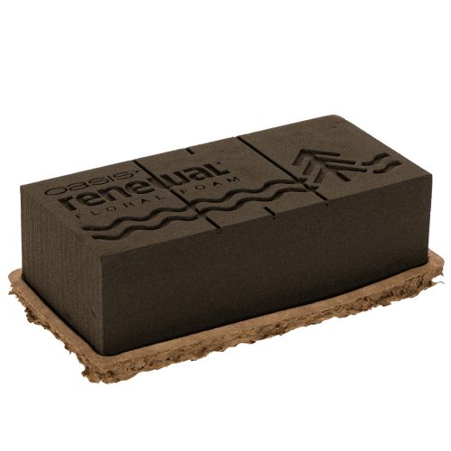 Blomsterskum 1/1 mursten OASIS® Renewal® Blomsterskum Biolit® 24 cm 2 stk.