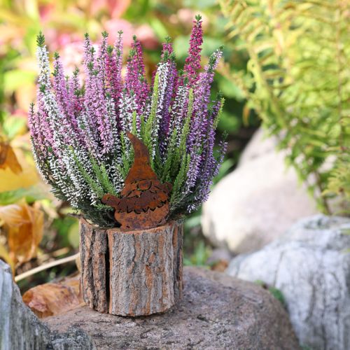 Artikel Urtepotte træbark plantekasse gnome rust H24cm