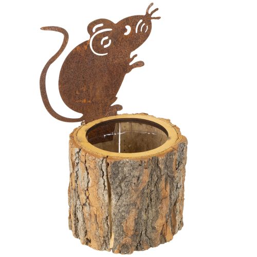 Floristik24 Urtepotte i træ, bark og muserust, H24 cm
