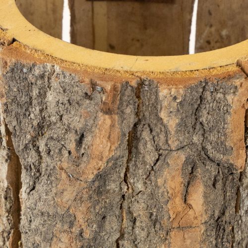 Artikel Urtepotte i træ, bark og muserust, H24 cm