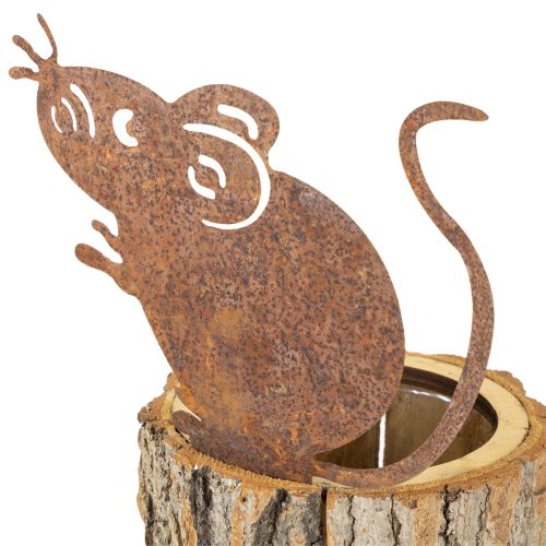 Artikel Urtepotte i træ, bark og muserust, H24 cm