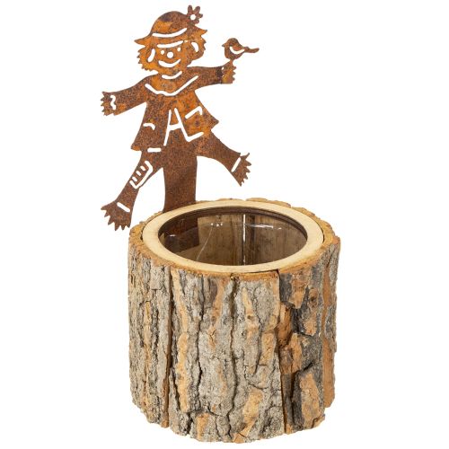 Floristik24 Urtepotte træplanter fugleskræmsel rust H24,5 cm