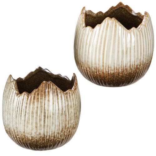 Floristik24 Urtepotte Keramisk Egg Broken Creme Brown Ø11,5cm 2 stk