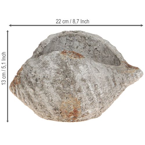 Artikel Urtepotte skalsten antikgrå maritim 22×18×13cm