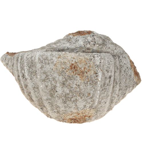 Artikel Urtepotte skalsten antikgrå maritim 22×18×13cm