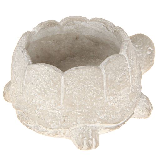 Artikel Urtepotte skildpadde beton dekoration grå hvid 15,5cm 2stk