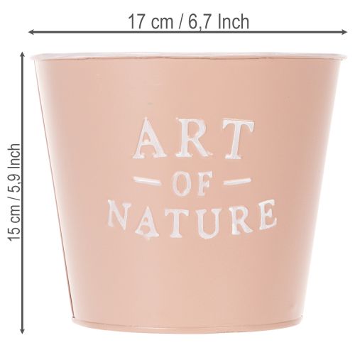 Artikel Zink urtepotte Art of Nature antik rose Ø17,5cm H15cm
