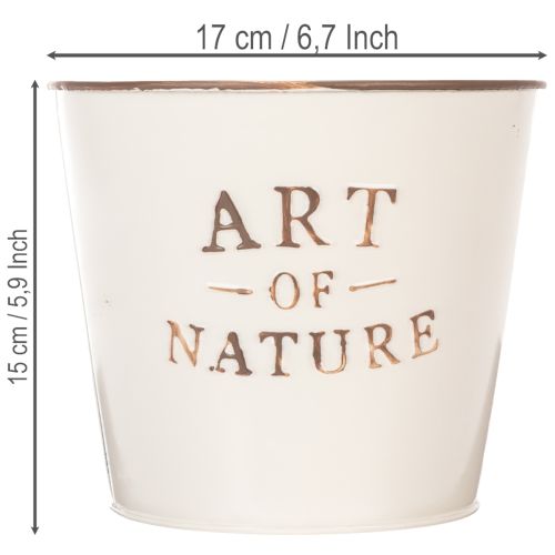 Zink urtepotte Art of Nature Creme Ø17,5cm H15cm | Floristik24.dk