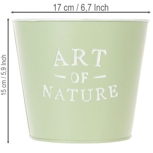 Artikel Zink urtepotte Art of Nature mintgrøn Ø17,5cm H15cm
