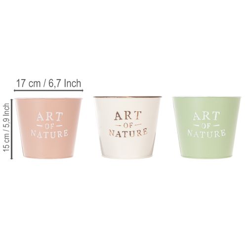 Rundt Vintage-Blomsterpotte Sæt i Pastelfarver, 17 cm, 3 Stk. | Floristik24.dk