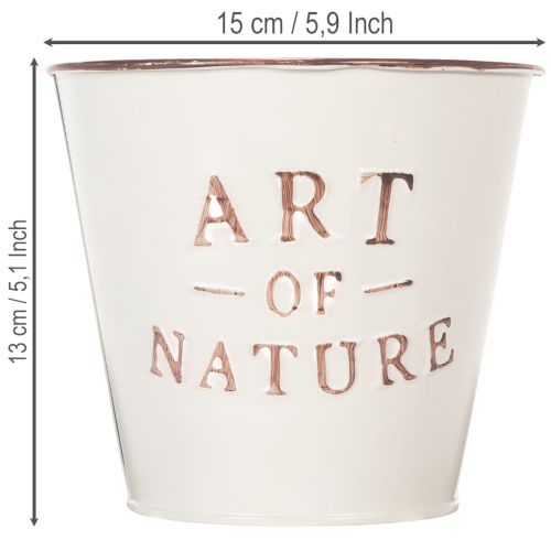 Zink urtepotte, creme, Ø15 cm H13,5 cm | Floristik24.dk