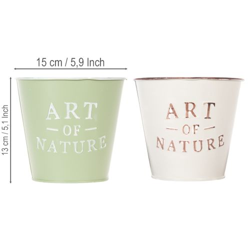 Art of Nature plantekasse med bogstaver, dekoration til vindueskarm og stue, 15 cm, 2 stk. | Floristik24.dk