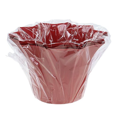 Floristik24 Blomsterpot plast rød Ø10,5 cm 10stk