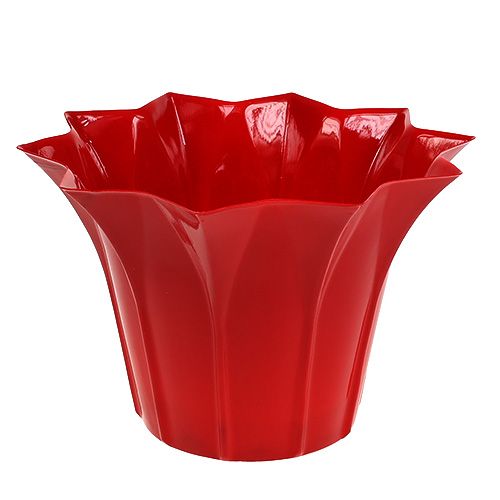 Floristik24 Blomsterpotte plast Ø14cm rød 10stk