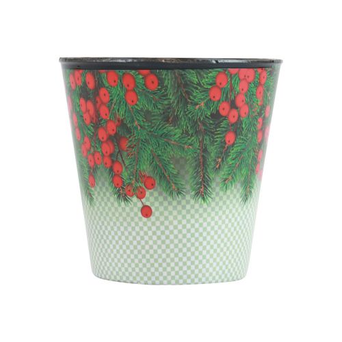 Floristik24 Urtepotte juleplantespand Ilex Ø11cm H10,5cm