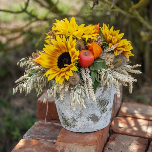 Floristik24 Urtepotte i antik look med patina Ø20,5cm H16cm