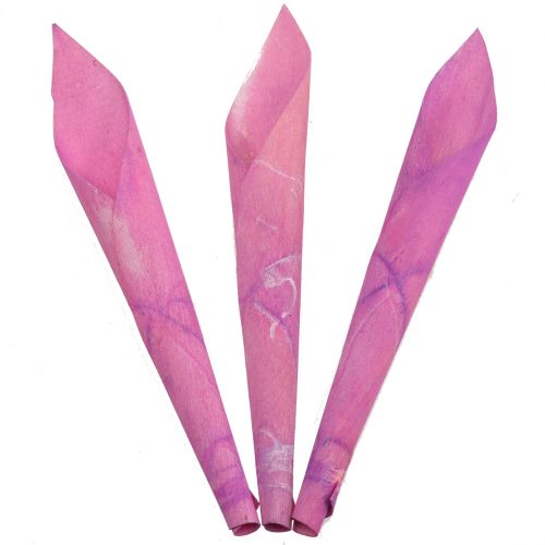 Floristik24 Blomstertragt cigar calla pink 18cm - 19cm 12stk