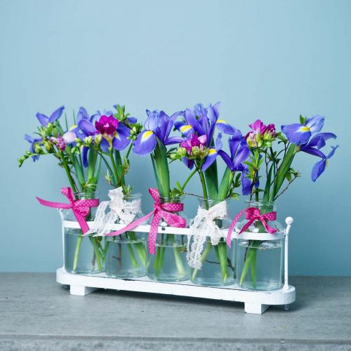 Floristik24 Blomstervase apoteker flasker apoteker glas dekoration på bakke 38cm