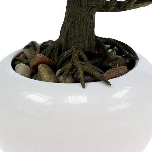 Floristik24 Bonsai-træ i en gryde 19 cm 1 stk