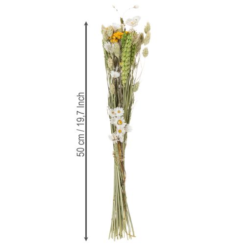 Artikel Tørret blomsterbuket, elegant tørret blomsterbuket til stuen, 50 cm