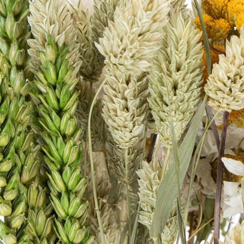 Artikel Tørret blomsterbuket, elegant tørret blomsterbuket til stuen, 50 cm