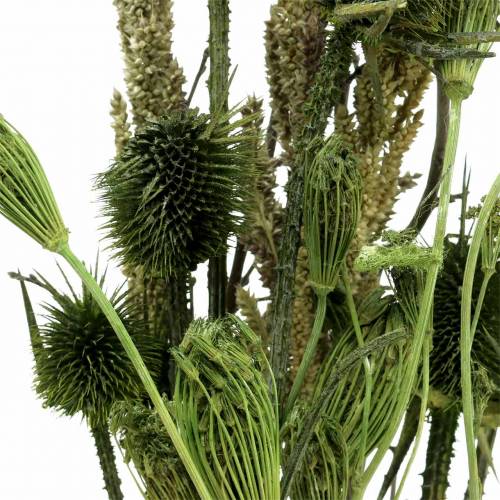 Floristik24 Wildflower buket naturlig, grøn 25-60cm 70g