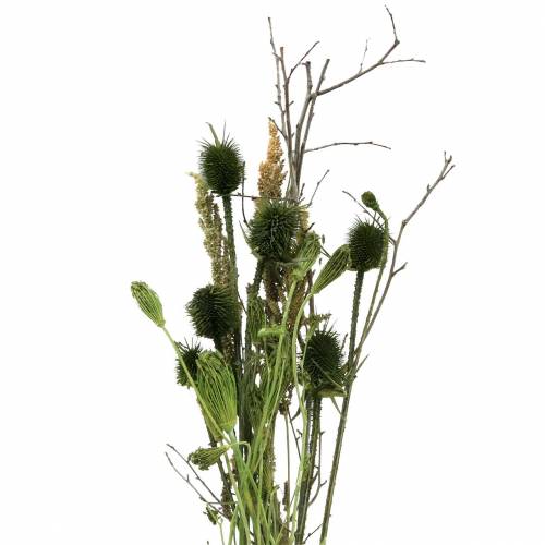 Floristik24 Wildflower buket naturlig, grøn 25-60cm 70g