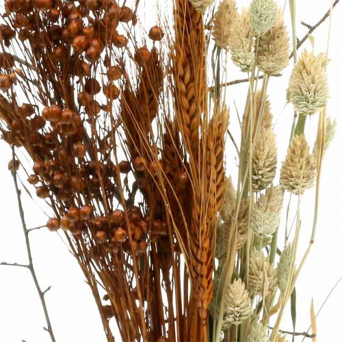 Floristik24 Wildflower buket natur, orange 25–60cm 65g